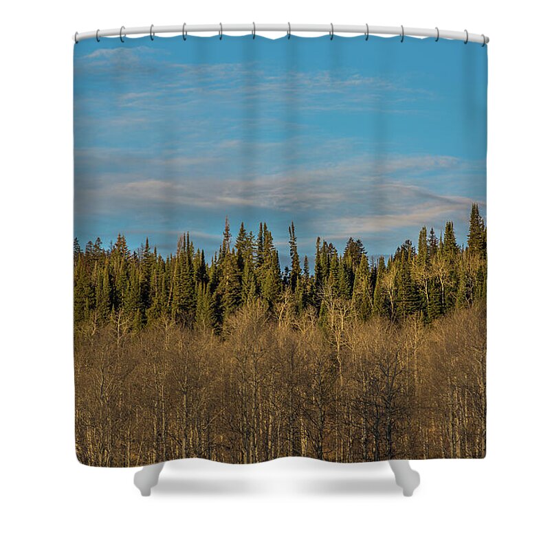 Trees Shower Curtain featuring the photograph Treescape, Wyoming by Julieta Belmont