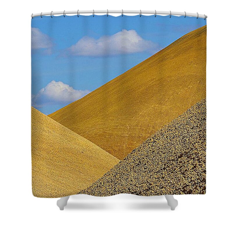 Oregon Shower Curtain featuring the photograph Triads by Steve Warnstaff