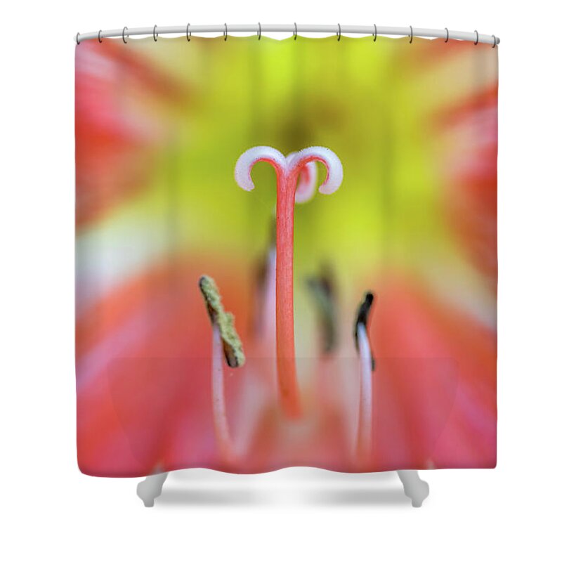 Australia Shower Curtain featuring the photograph Tropical Fusion by Az Jackson