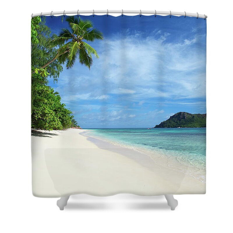 Scenics Shower Curtain featuring the photograph Tropical Island Beach Scene With Palm by Peskymonkey