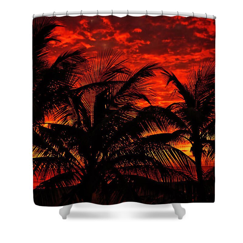 Lighthouse Cove Resort Shower Curtain featuring the photograph Tropical Sunrise by Meta Gatschenberger