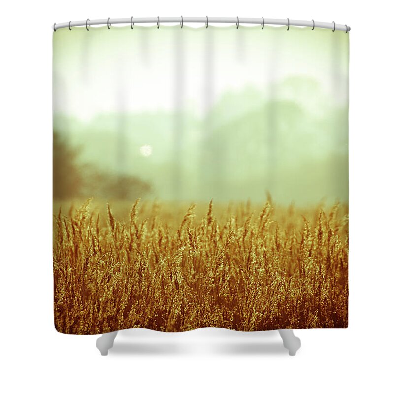 Scenics Shower Curtain featuring the photograph True Its A Dream Mixed With Nostalgia by S0ulsurfing - Jason Swain