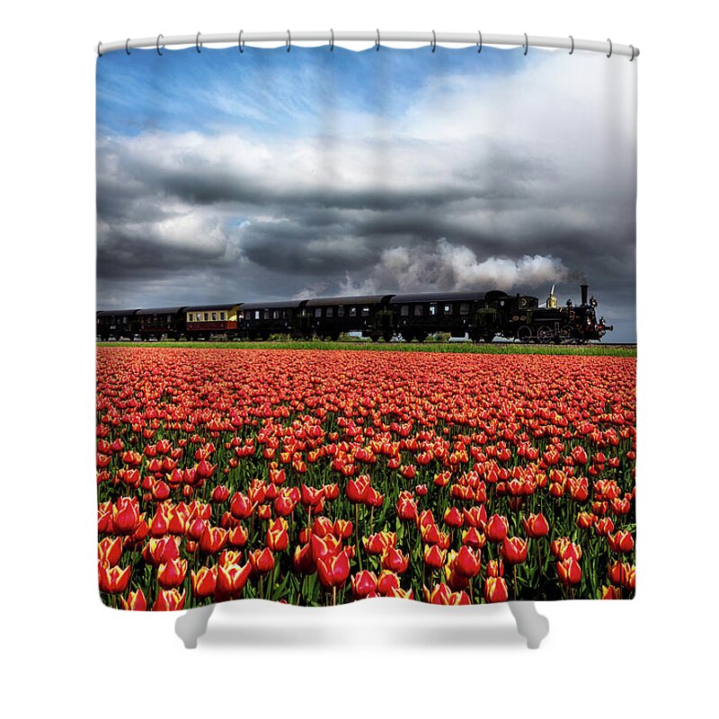 Steamtrain Shower Curtain featuring the photograph Tulip express by Jorge Maia