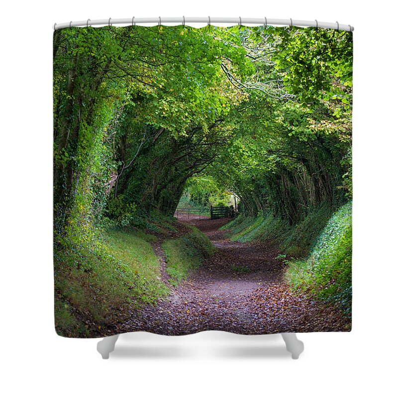 Shower Curtain Liner Forest Bushes Trees Tunnel Path Bathroom Polyester Fabric 