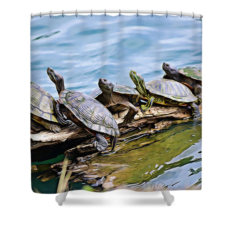 Turtle Shower Curtain featuring the photograph Turtles Sharing the Log by Gaby Ethington