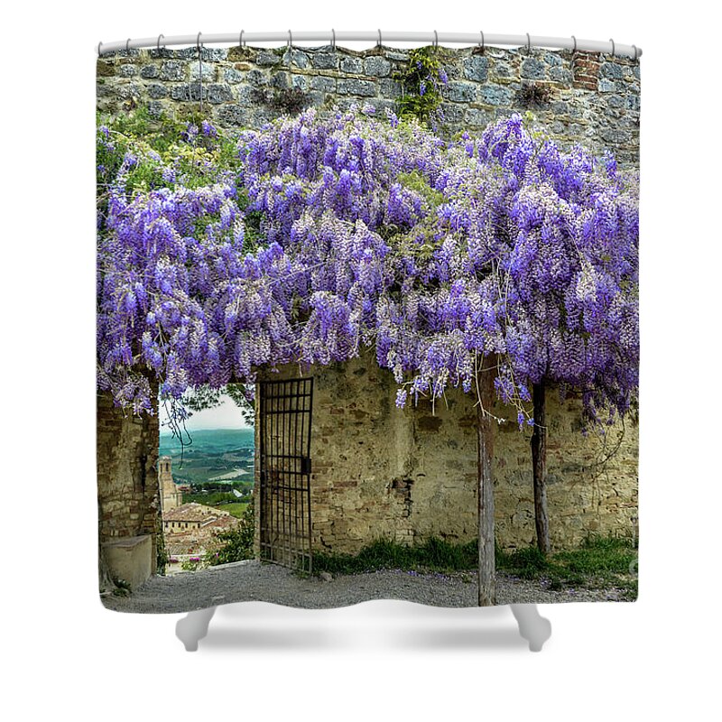 Tuscany Shower Curtain featuring the photograph Tuscan Wisteria by David Meznarich