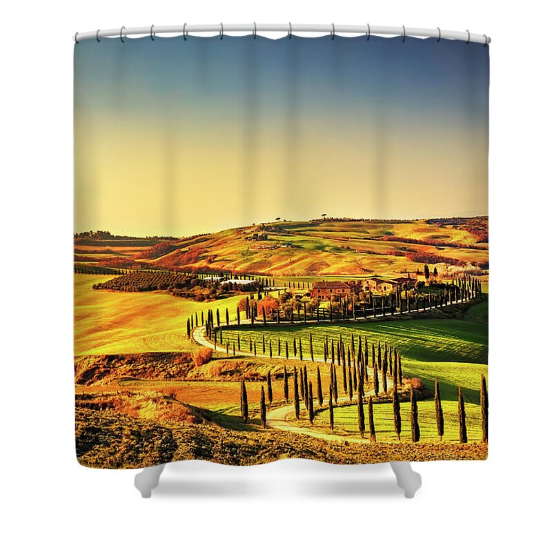 Tuscany Shower Curtain featuring the photograph Crete Senesi Cypress Road by Stefano Orazzini