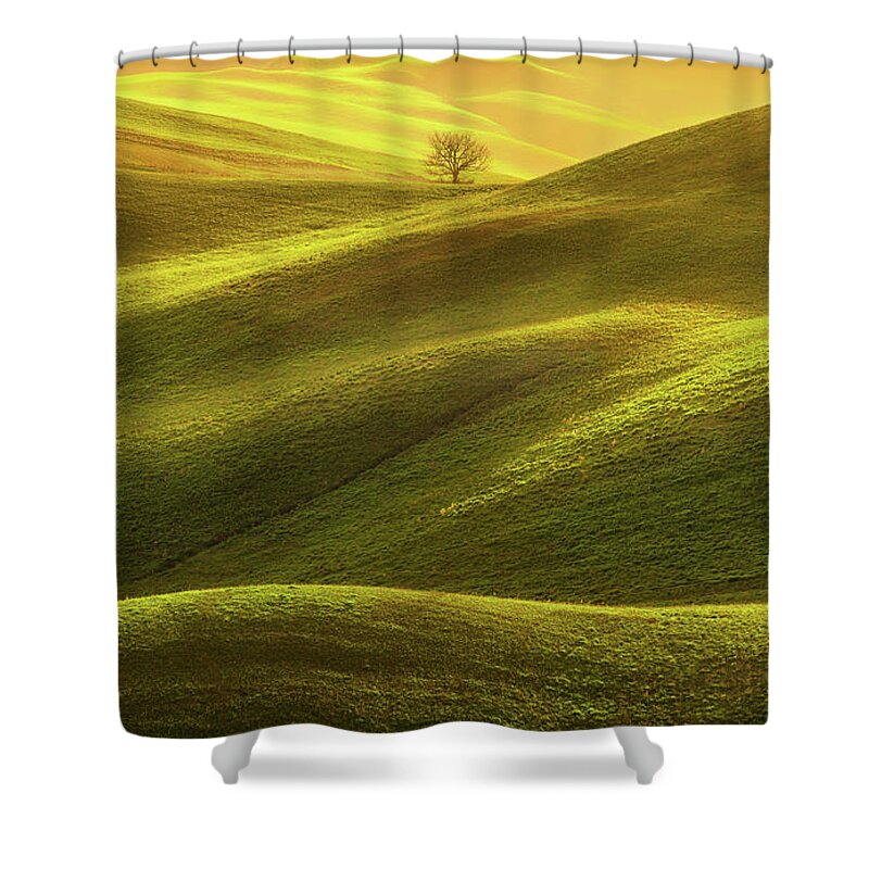 Tuscany Shower Curtain featuring the photograph Lonely Tree in the Light by Stefano Orazzini