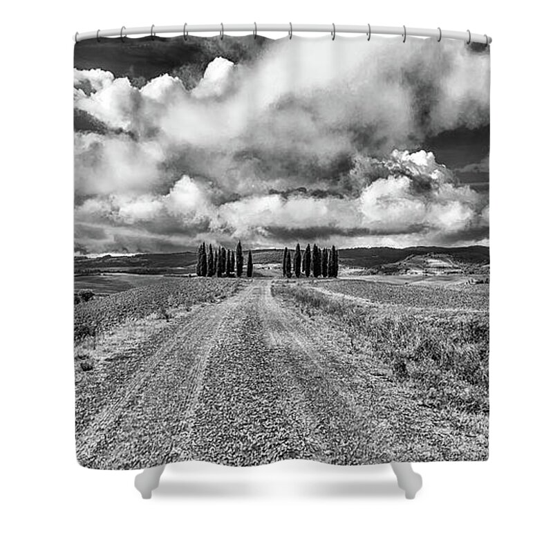 Italy Shower Curtain featuring the photograph Tuscany Road by Lev Kaytsner