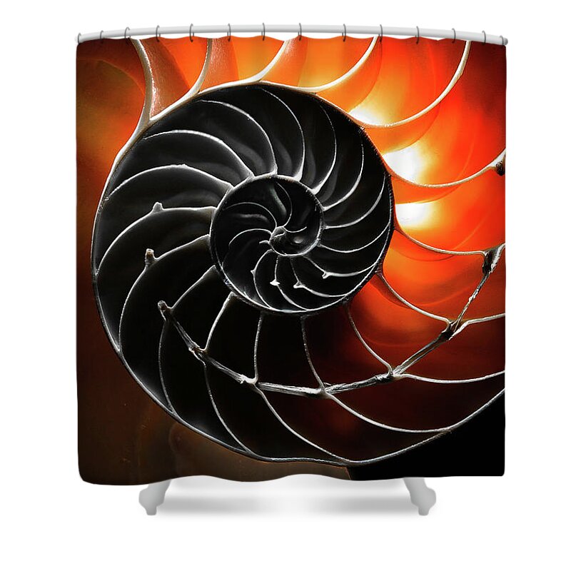 Closeup Shower Curtain featuring the photograph Twirl by Jim Painter