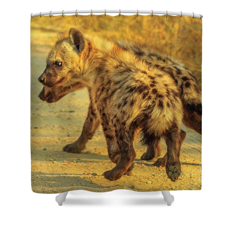 Hyena Shower Curtain featuring the photograph Two Hyena cubs by Benny Marty