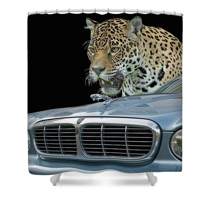Jaguar Shower Curtain featuring the photograph Two Jaguars 2 by Larry Linton