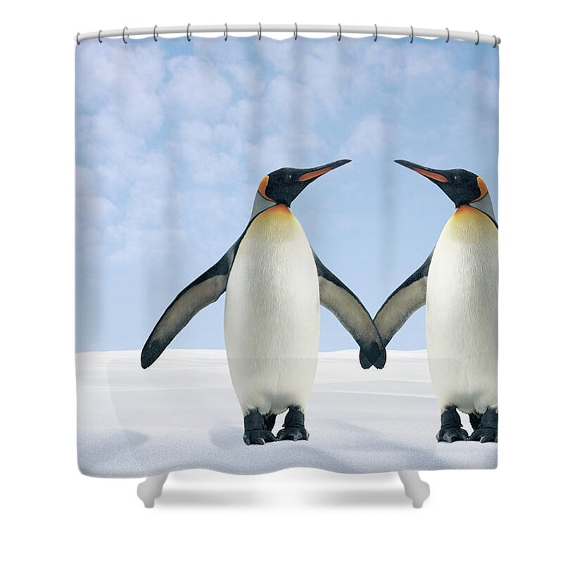 Animal Themes Shower Curtain featuring the photograph Two Penguins Holding Hands by Fuse