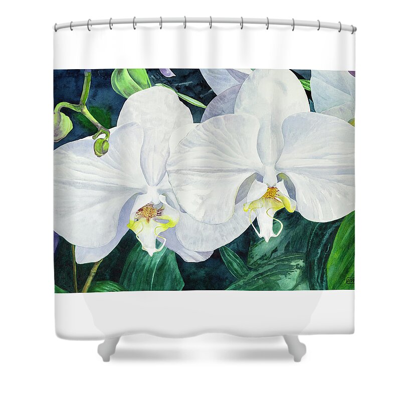 Flower Shower Curtain featuring the painting Two White Orchids by Lisa Tennant