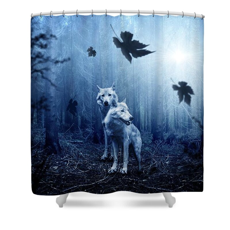 Cute Shower Curtain featuring the photograph Two wolves by Top Wallpapers