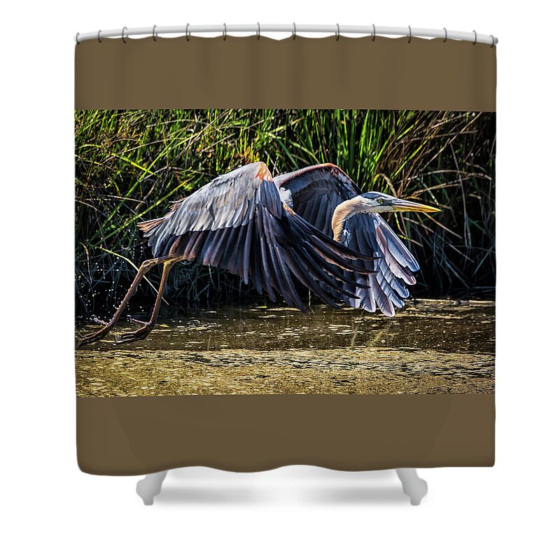 Birds Shower Curtain featuring the photograph Under Cover by Ray Silva