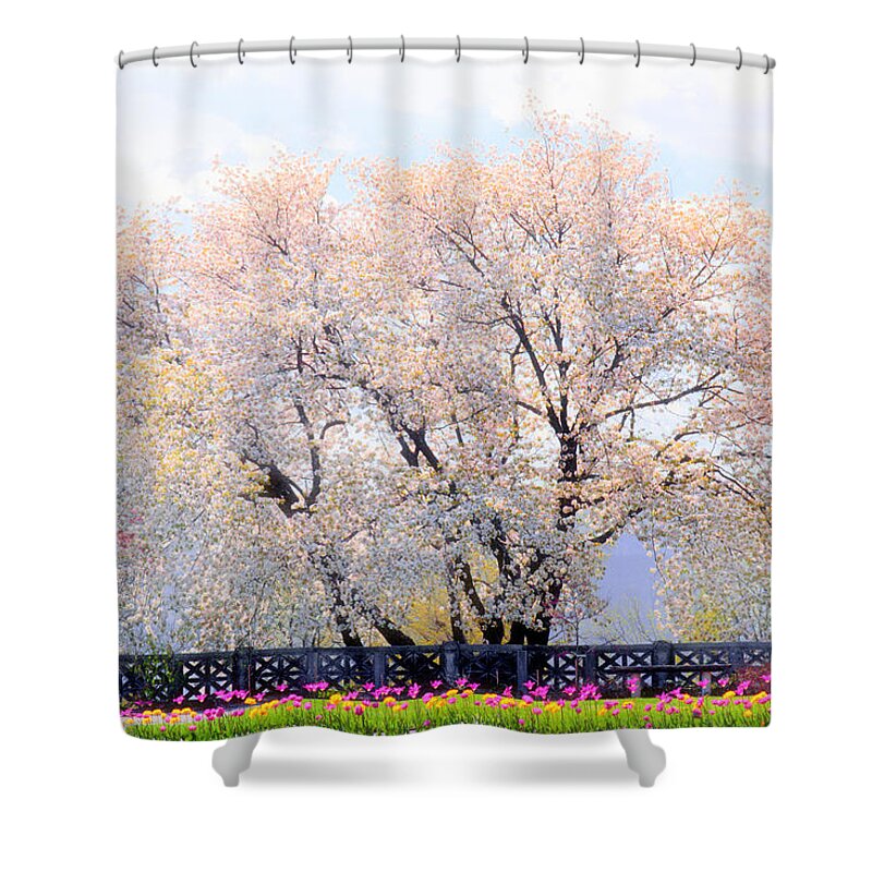 Untermyer Garden Shower Curtain featuring the photograph Untermyer Cherry Trees by Jessica Jenney