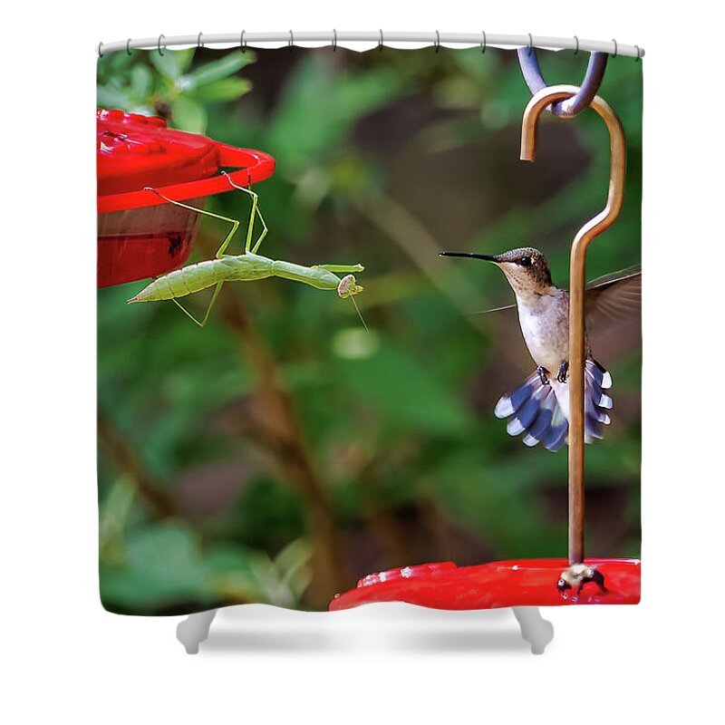 Fine Art America Shower Curtain featuring the photograph Unwelcome Dinner Guest by Norman Peay