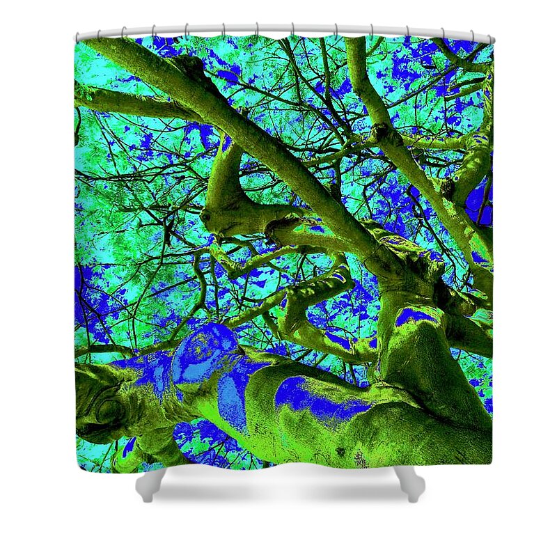 Tree Shower Curtain featuring the photograph Up a Tree Two by Debra Grace Addison