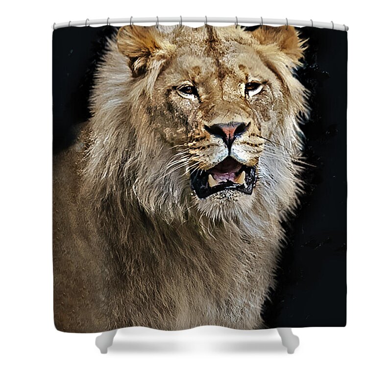 Animal Shower Curtain featuring the photograph Up and At Em by John Christopher