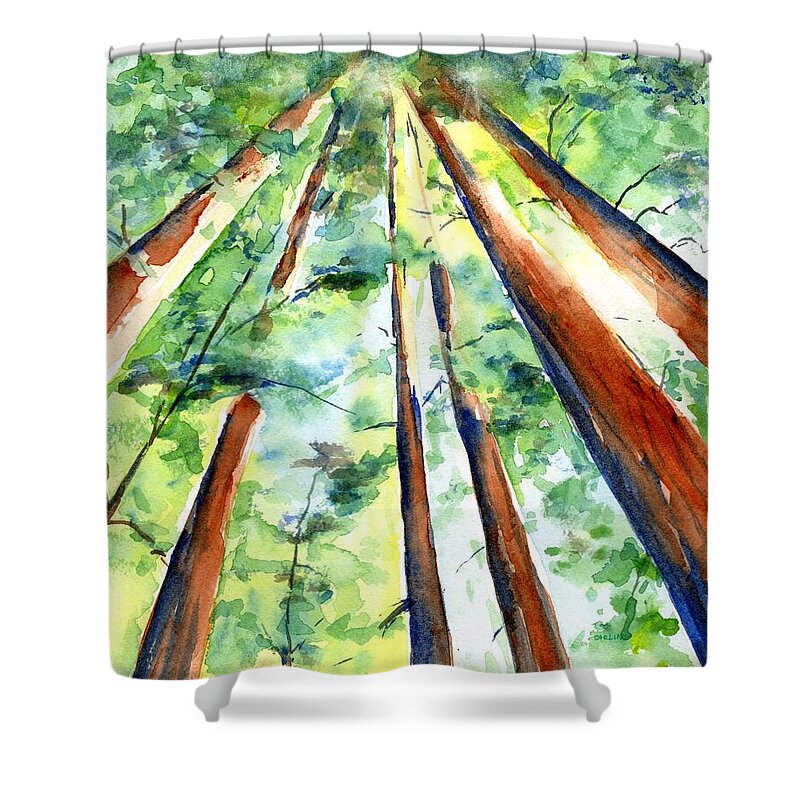 Trees Shower Curtain featuring the painting Up through the Redwoods by Carlin Blahnik CarlinArtWatercolor