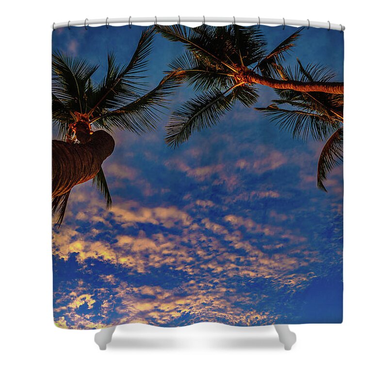 Hawaii Shower Curtain featuring the photograph Upward Look by John Bauer
