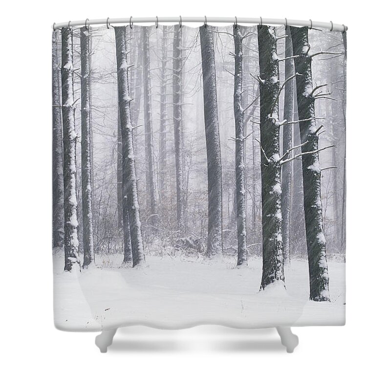 Tranquility Shower Curtain featuring the photograph Usa, Maryland, Loch Raven, Snow Covered by Tony Sweet