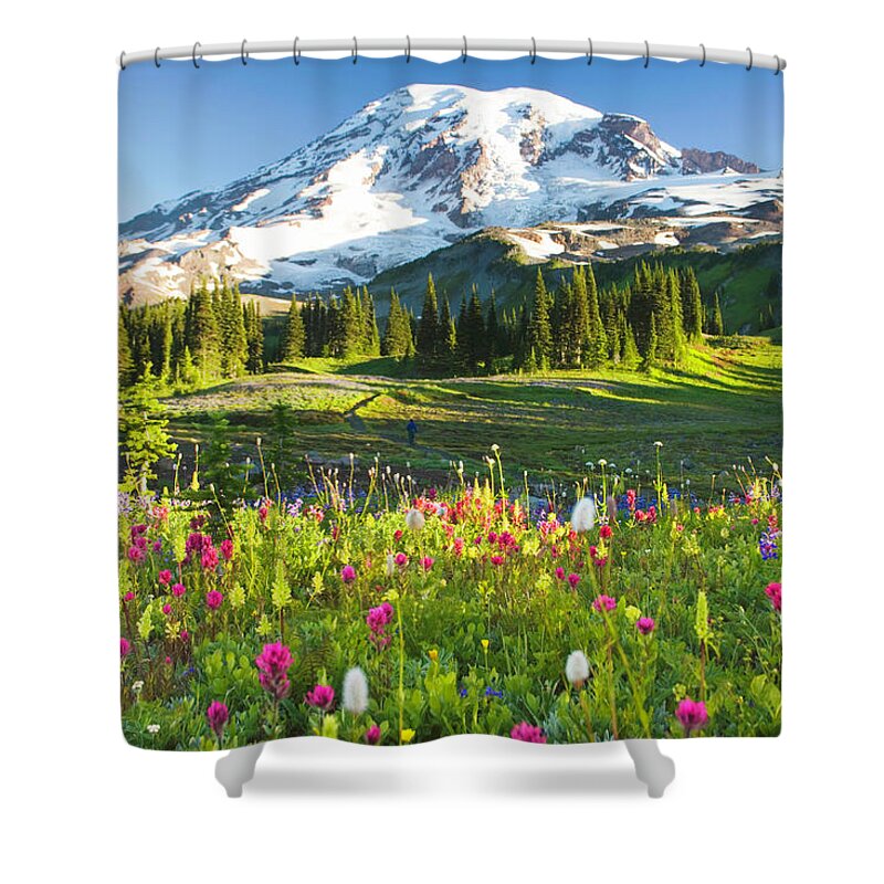 Scenics Shower Curtain featuring the photograph Usa, Washington, Mt. Rainier National by Rene Frederick