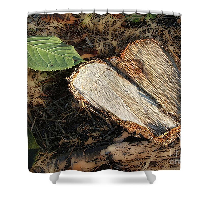 Valentine Shower Curtain featuring the photograph Valentine Tree Heart by Rich Collins