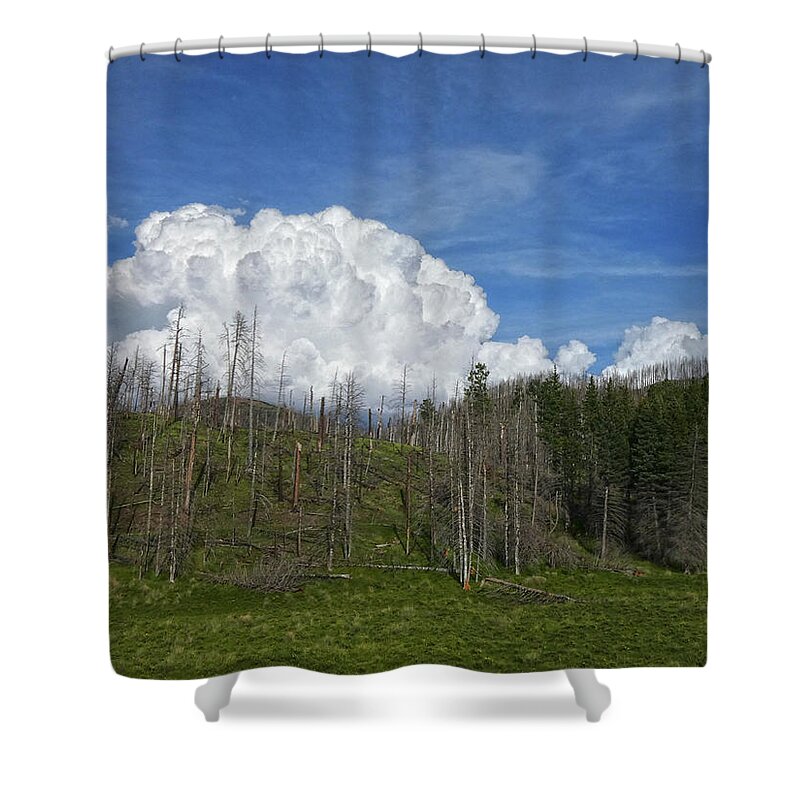 Clouds Shower Curtain featuring the photograph Valles Caldera New Mexico by Bob Geary