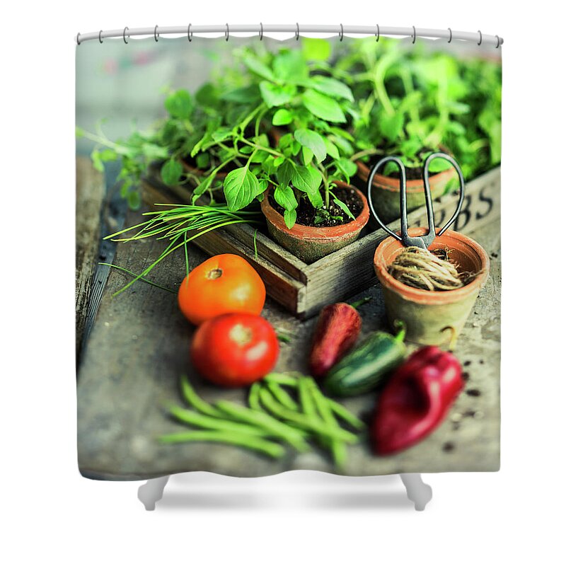 Red Bell Pepper Shower Curtain featuring the photograph Vegetables And Herbs by Thepalmer