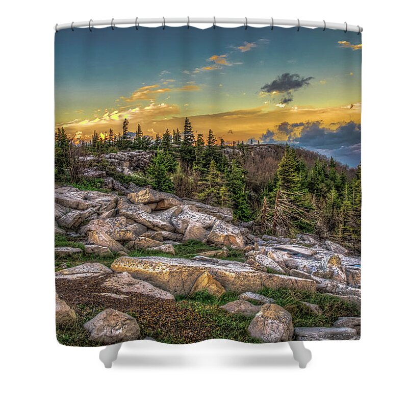 Landscapes Shower Curtain featuring the photograph View from Dolly Sods 4714 by Donald Brown
