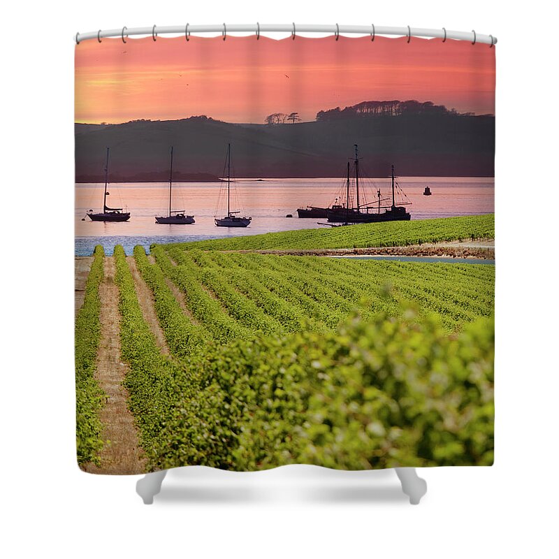 Scenics Shower Curtain featuring the photograph Vineyard At Sunset by Lockiecurrie