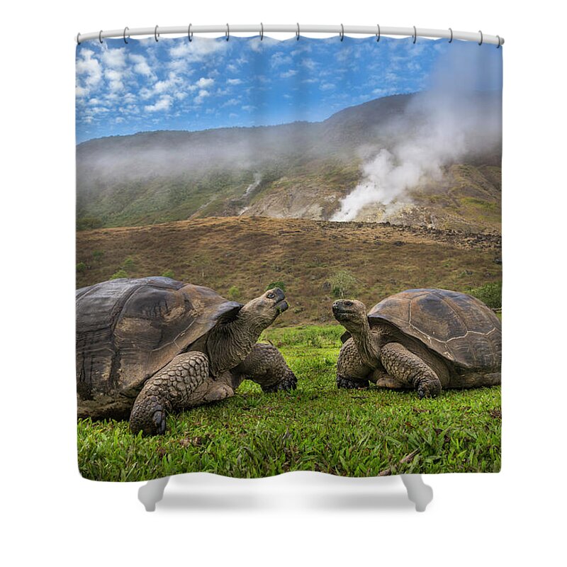 00577335 Shower Curtain featuring the photograph Volcan Alcedo Tortoises And Fumarole by Tui De Roy