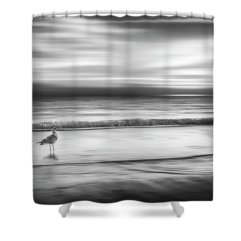 Birds Shower Curtain featuring the photograph Waiting for the Sun Dreamscape in Black and White by Debra and Dave Vanderlaan