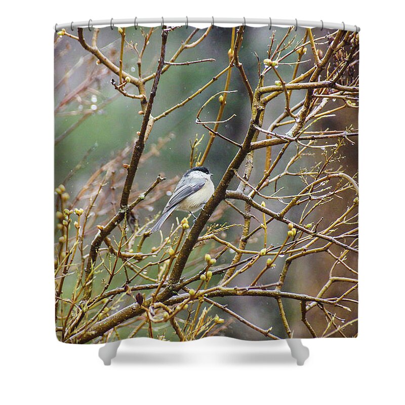 Bird Shower Curtain featuring the photograph Waiting by Rockybranch Dreams