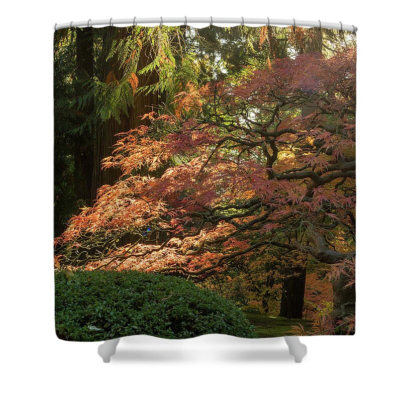 Garden Shower Curtain featuring the photograph Wake up Time by Jean Noren