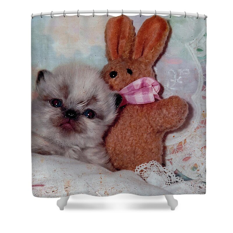 Kitten Shower Curtain featuring the photograph Waki and toy by C Winslow Shafer