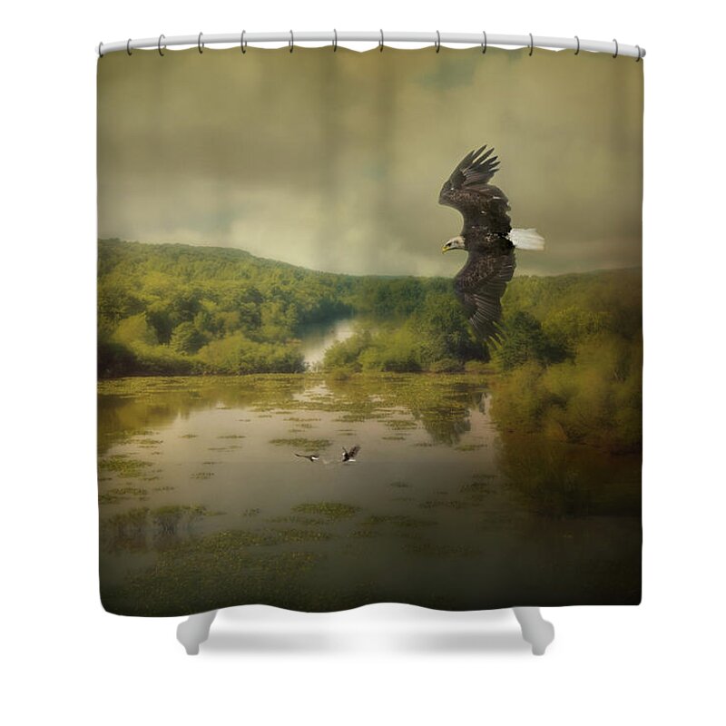 Eagle Shower Curtain featuring the photograph Watching The Competition by Jai Johnson