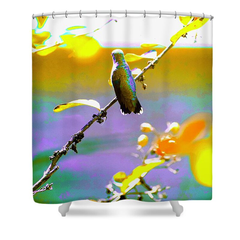 Photograph Shower Curtain featuring the photograph Watching the Pond by Debra Grace Addison