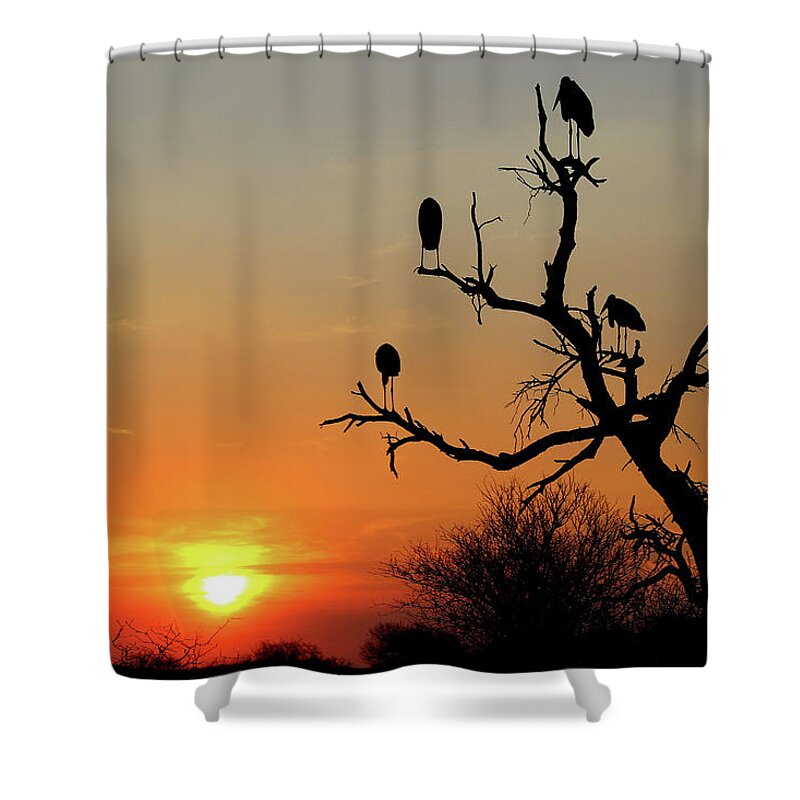  Shower Curtain featuring the photograph Watching the Sunset by Eric Pengelly