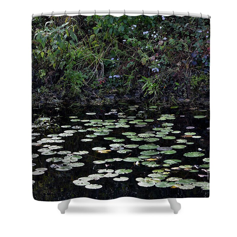 Water Lily Shower Curtain featuring the photograph Water Lilies in the Wood by Dianne Morgado
