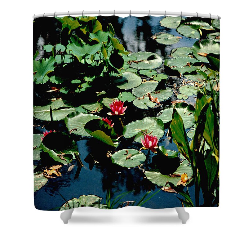 Water Lilies Shower Curtain featuring the photograph Water Lilies Squared by Mike McBrayer