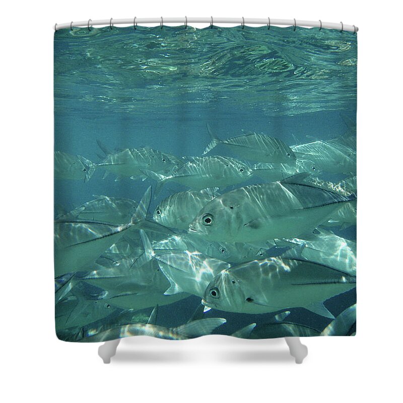 Underwater Shower Curtain featuring the photograph Water World by Federica Grassi