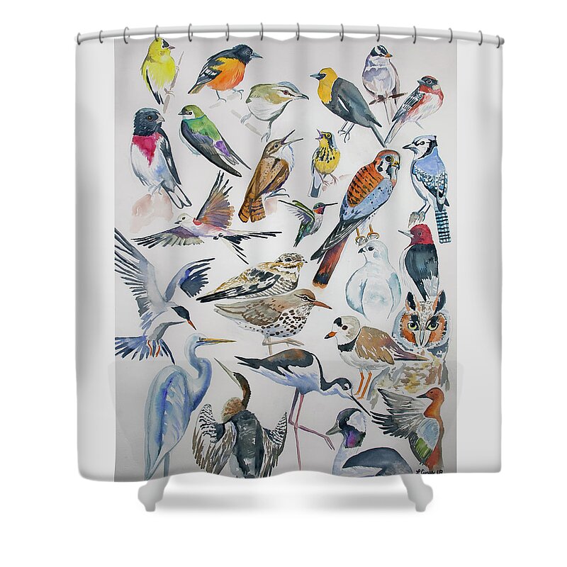 watercolor north american birds shower curtain