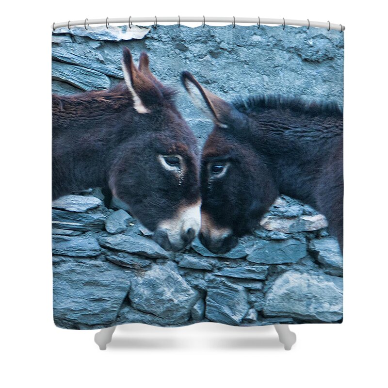 Burro Shower Curtain featuring the photograph Eye To Eye, Nose To Nose, Heart To Heart by Leslie Struxness