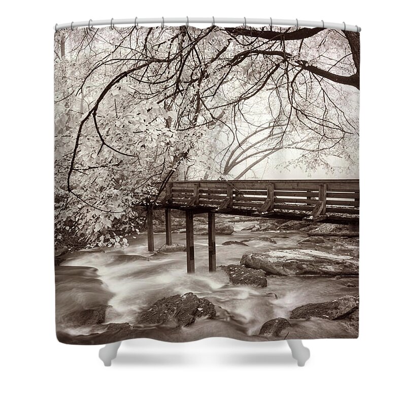 Fall Shower Curtain featuring the photograph Wearing Winter White in Sepia Tones by Debra and Dave Vanderlaan