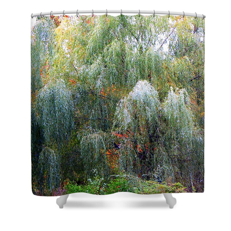 Weeping Willow Shower Curtain featuring the photograph Weeping by Richard Stanford