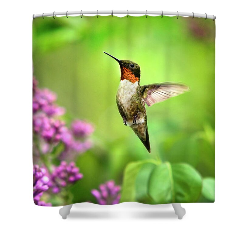 Hummingbird Shower Curtain featuring the photograph Welcome Home Hummingbird by Christina Rollo
