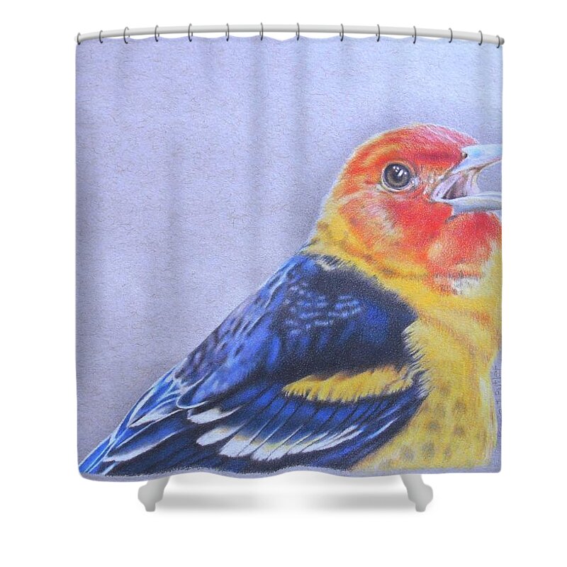 Western Tanager Shower Curtain featuring the drawing Western Tanager - Male by Karrie J Butler